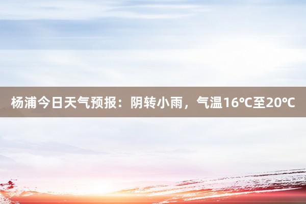 杨浦今日天气预报：阴转小雨，气温16℃至20℃